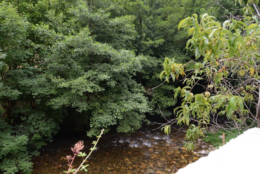 Apartamentos El Rincon De Limes 칸가스 델 나르세아 객실 사진